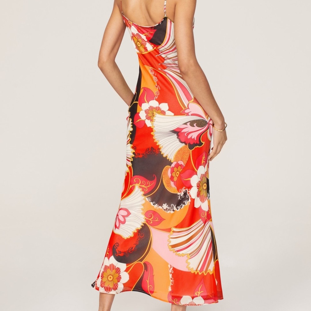 Ronny Kobo Maxi Chiffon Floral Dress